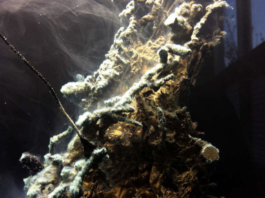 Hicham Berrada, la très belle exposition de l'abbaye de Maubuisson