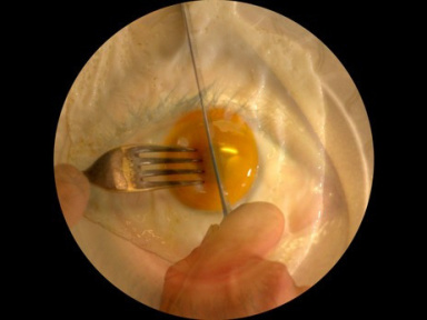 Roee Rosen, l'exposition au Centre Pompidou