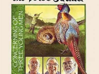 Concert de musique traditionnelle de Noël : The Voice Squad