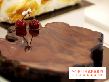 Bûche Gâteaux Thoumieux