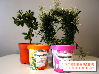 Hägen Dazs nouvelle recette printemps 2019