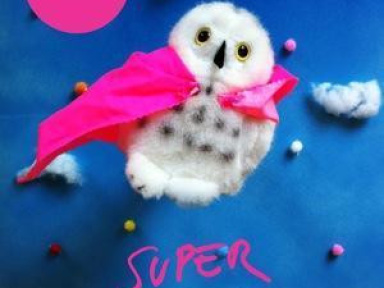 SOIREE SUPER CHOUETTE # 2 