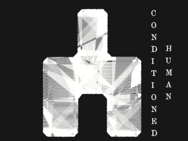 PAVLOV / REST IN GALE / OFF SHADE