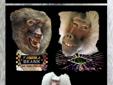 Co-plateau Ska-Punk / Jazz Progressif