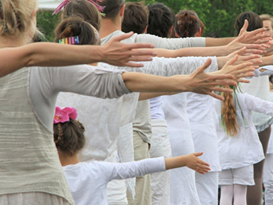 Entrez dans la danse, Fête de la danse