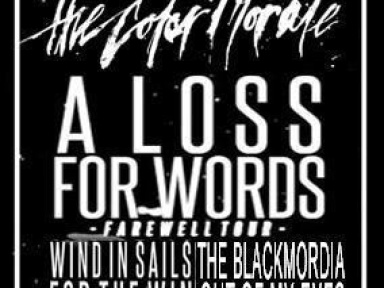 The Color Morale + A Loss For Words