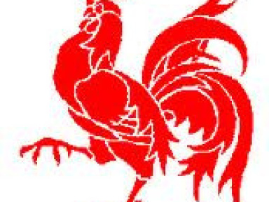 Rentrée littéraire