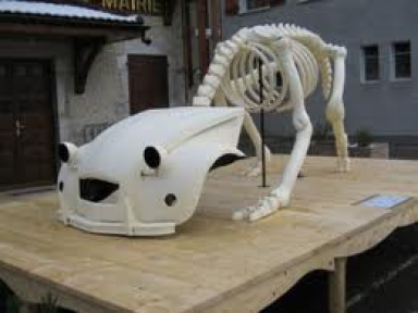 Ghyslain Bertholon, “Maleda”, installations