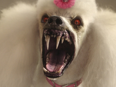 Chair de Poule - Le film : bande-annonce 