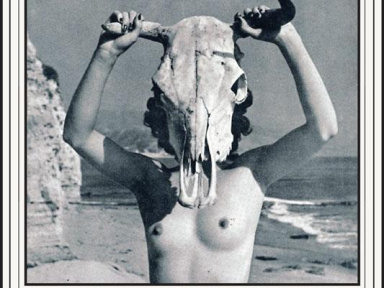 ¡ Ai No Corrida ! #2