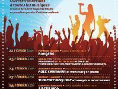 Tremplin Révélations de la Musik - catégorie chanson française