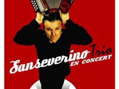 Concert, Paris, Sanseverino, Bouffes du Nord