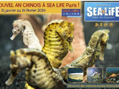 Le Nouvel An Chinois à  l’Aquarium Sea Life Paris Val d’Europe