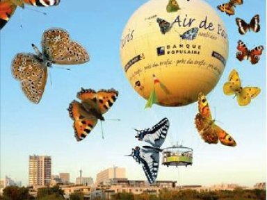 Ballon et Papillons 