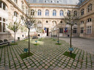 Un verger à la mairie du 4e