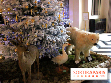 Noël au Trianon palace avec Deyrolle