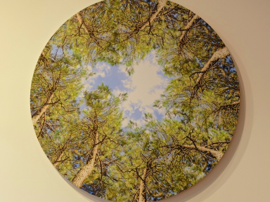 On a testé : le Bol d'air Jacquier du laboratoire Holiste