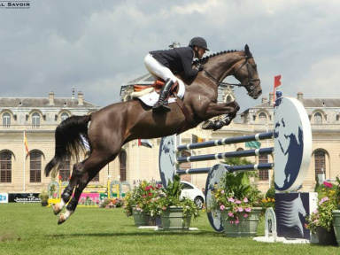 Le Jumping International de Chantilly revient en 2016 !