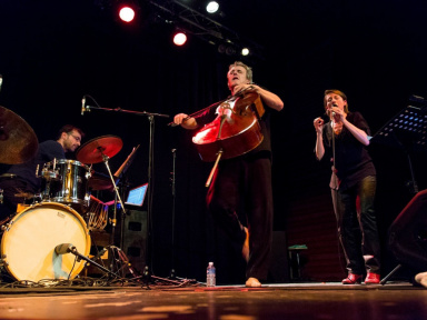 JAZZ À LA JAVA : DUO DIDIER PETIT & GUILLAUME ROY + TRIO PIERRE PRÉCIEUSE