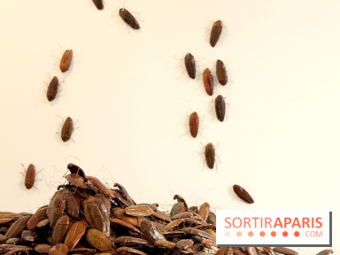 Céramix, l'exposition au Musée de la Céramique et à la Maison Rouge