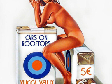 Yucca Velux + Cars On Rooftops