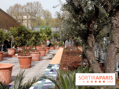 Jardin d'Orient à l'Institut du Monde Arabe