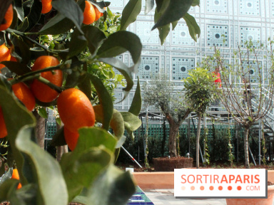 Jardin d'Orient à l'Institut du Monde Arabe