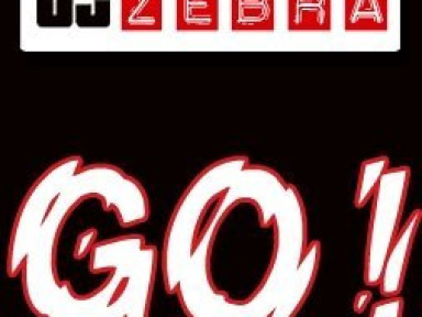 Soirée, Paris, Zebra, Elysée Montmartre, Bootleg, Mash up