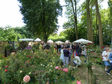 Fleurs en Seine 2016 : les plantes font salon aux Mureaux