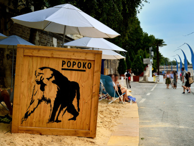 Le parc zoologique de Paris s'invite à Paris Plages