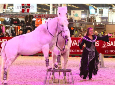 Concours Equi’Star au Salon du Cheval de Paris 2016