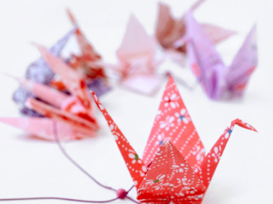 Atelier Adeline Klam