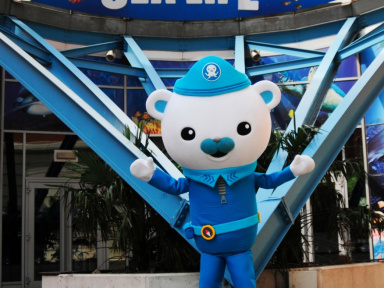 Les Octonauts débarquent à l'aquarium Sea Life pour les Vacances de Pâques 2017
