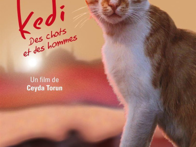 Avant-première de Kedi, des chats et des hommes au Max Linder