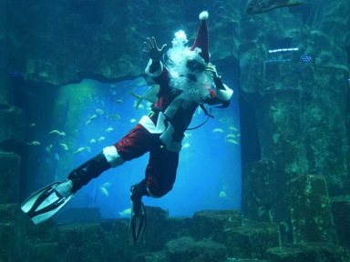 Noël 2018 à de l'Aquarium de Paris