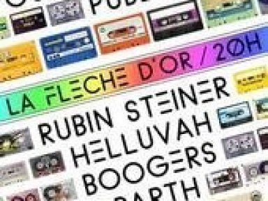 Concerts, Paris, Concerts outrageusement publics, Fleche d'Or, Rubin Steiner