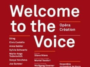 Opéra, Spectacle Musical, Théâtre du Chatelet, Welcome to the Voice, Sting, Elvis Costello, Jean Luc Choplin