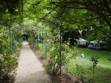 Rendez-Vous aux Jardins 2024 au Musée départemental Maurice Denis à Saint-Germain-en-Laye (78)