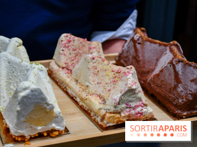 Bûches Glacées Reys Noel 2024