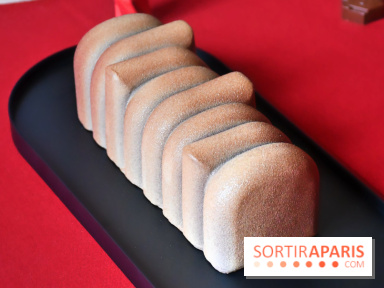 Bûche de Noël glacée 2024 de la Manufacture de Chocolat Alain Ducasse à Paris