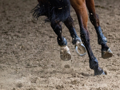 Les Dimanches Plaisirs de l'Hippodrome Paris-Vincennes : animations gratuites pour toute la famille