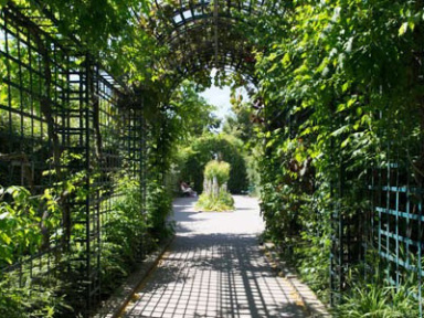 Les parcs et jardins désormais ouverts dès le petit matin