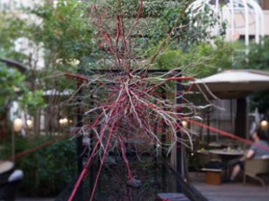 The Red Garden : installation artistique et cocktails éphémères au Mandarin Oriental