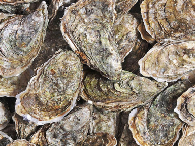 Salon gastronomique Mer et Vigne 2018 au Parc Floral