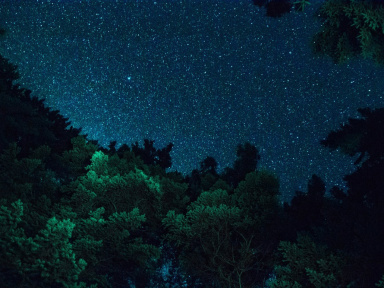 Paris sous les étoiles : observer les étoiles depuis les parcs parisiens