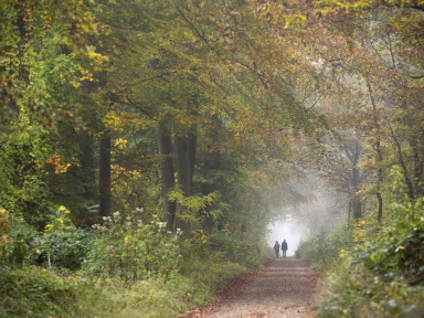 Journées du patrimoine 2018 à la forêt de Saint-Germain
