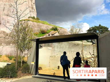 Zoo de Vincennes, Parc Zoologique de Paris 2017