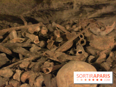 Les Catacombes de Paris
