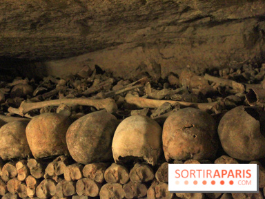 Les Catacombes de Paris