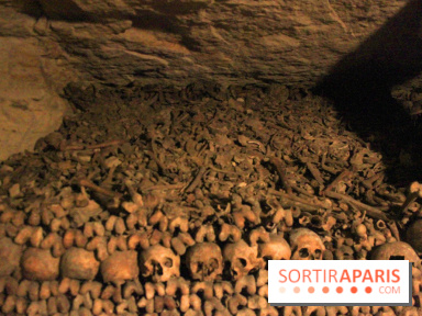 Les Catacombes de Paris